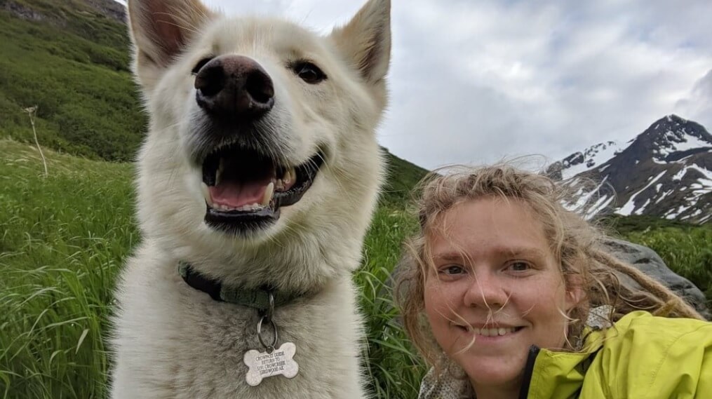 Dog Helps Woman After She Fell Down a Mountain