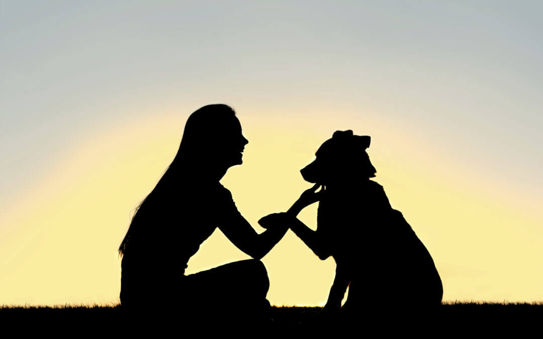 Michigan Humane CEO: Coronavirus Outbreak is Uncharted Territory