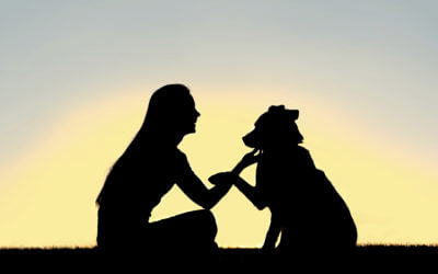 Michigan Humane CEO: Coronavirus Outbreak is Uncharted Territory