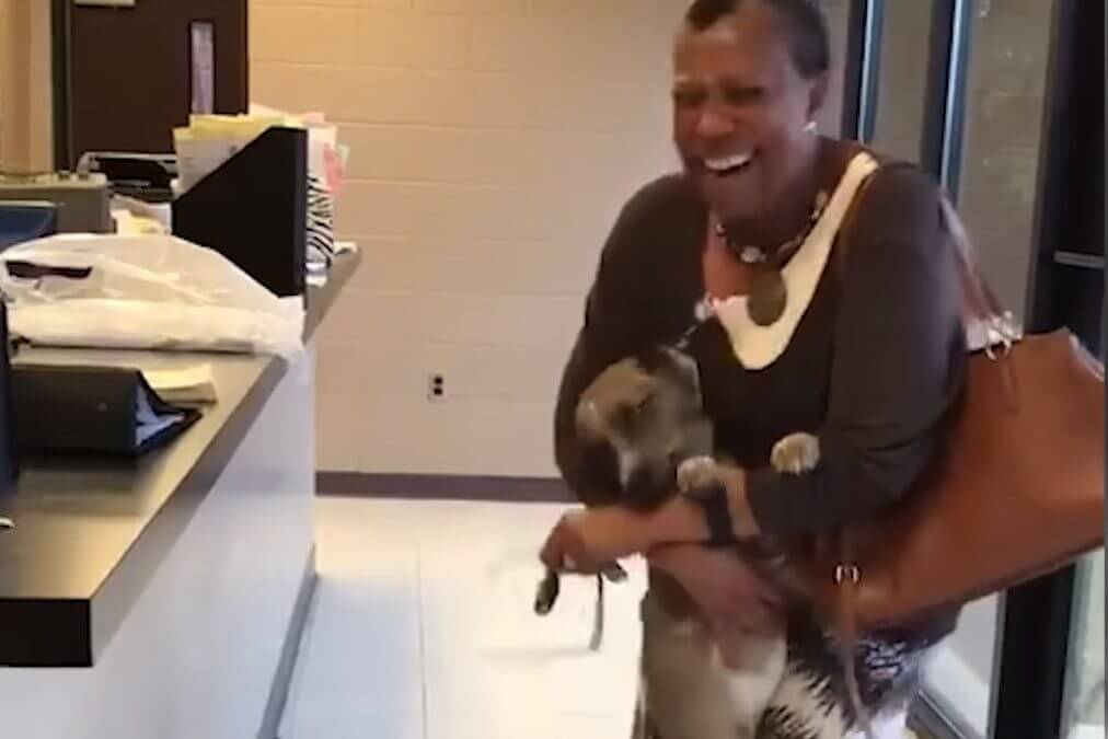 Lost Dog Reunites With Human Mom, Happy Dance Ensues