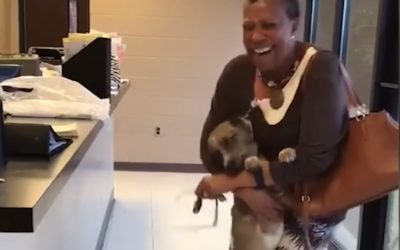 Lost Dog Reunites With Human Mom, Happy Dance Ensues
