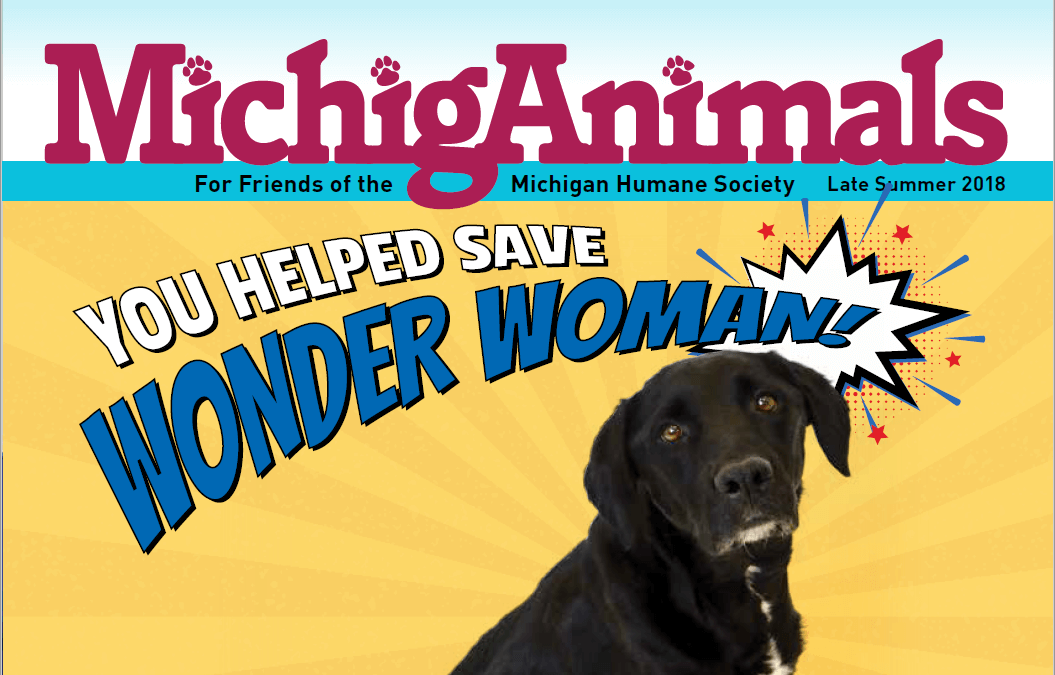 MichigAnimals Summer 2018