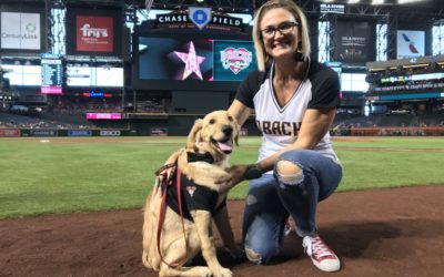 Hero Dog Todd Honored by Arizona Diamondbacks