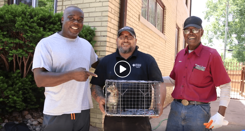 The Kibble: Recent Animal Rescue Embodies Spirit of Detroit