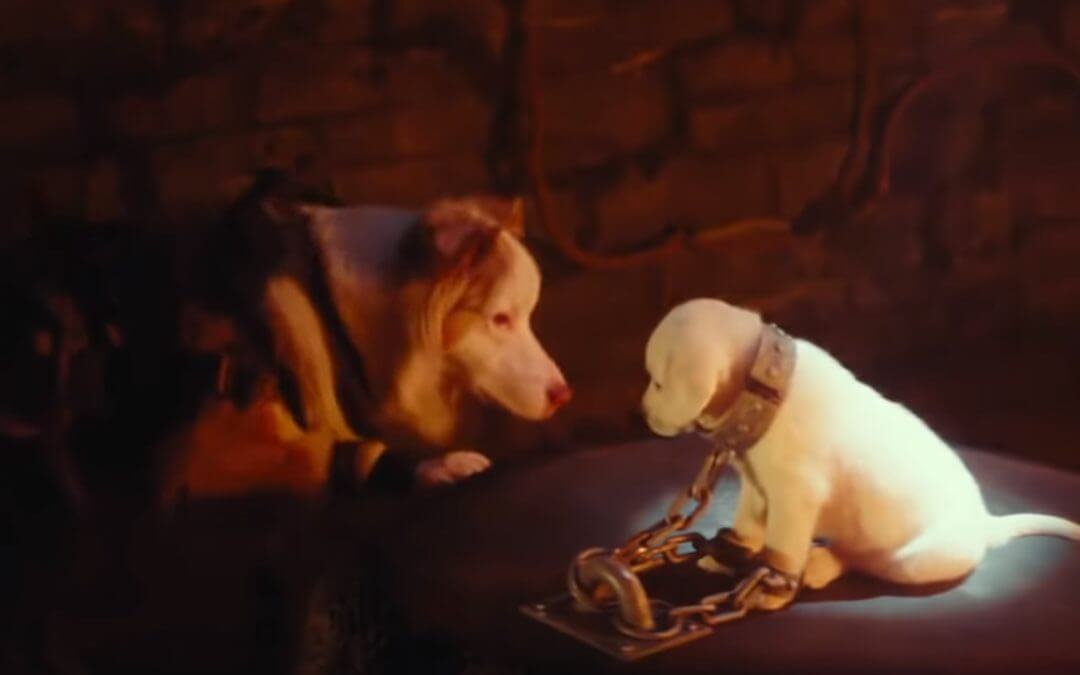 Watch a Tomb Raider Trailer Starring Cats and Dogs