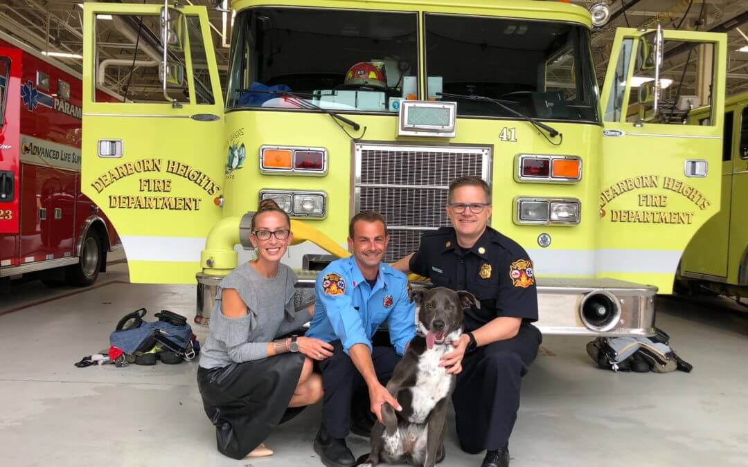 The Kibble: Dog Goes from Firehouse to Forever Home