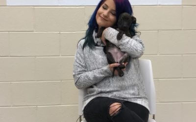 98.7 AMP Radio’s Julia Picks Dogs’ Celebrity Lookalikes