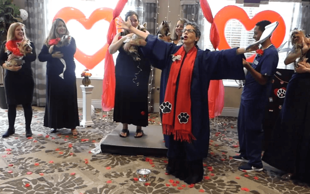 Dogs Walk the Aisle for Charity