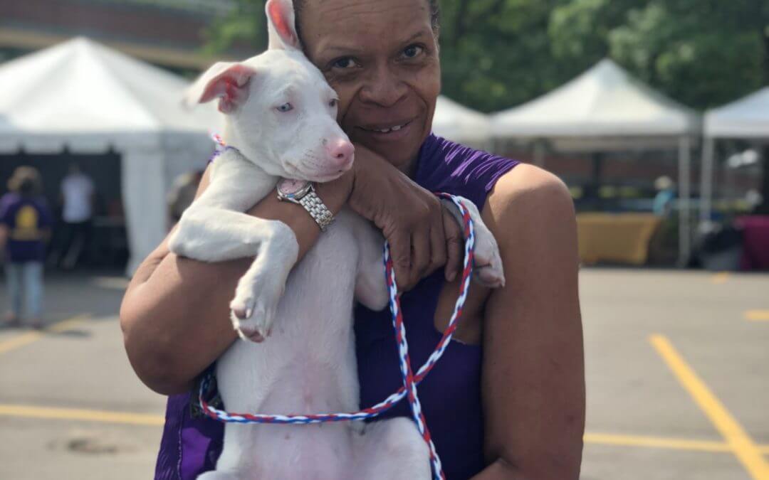 Thank You for ‘Signing’ Sugar’s Adoption Papers