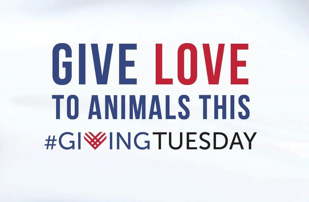 Facebook is Matching Giving Tuesday Donations Up to $7 Million