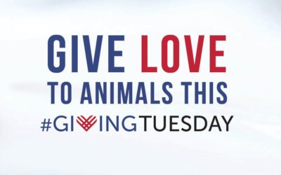 Facebook is Matching Giving Tuesday Donations Up to $7 Million