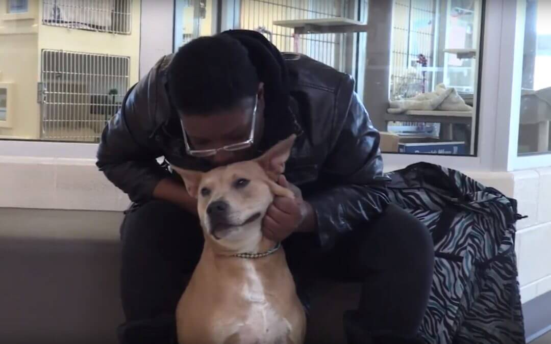 Puppy Cousin Reunites With Michigan Woman