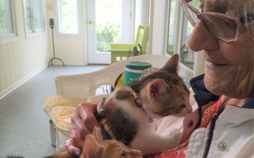 In memoriam: Sylvia Eston