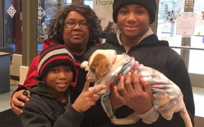 Empty the Shelters is October 12 With $25 Pet Adoptions