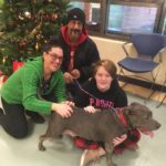 Bissell Pet Foundation's Empty the Shelters at Michigan Humane Society