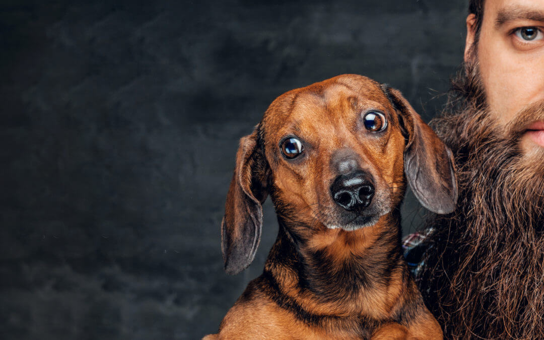 Beards Have More Germs Than Dog Hair According to Study