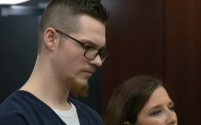 Killer of Sterling the Dog Sentenced to Minimum 3 Years in Prison