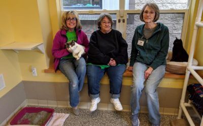 The Kibble: The Three Meowsketeers