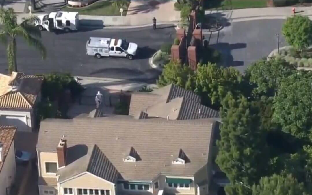 Over 130 Dogs Found Inside California Mansion