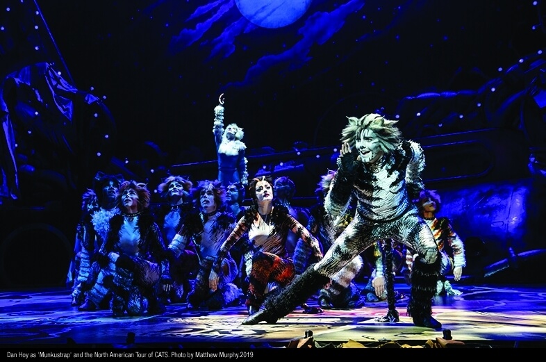 Win Tickets to See CATS Live at the Fisher Theatre
