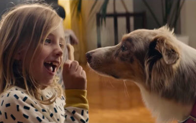 Watch the Emotional Story of Two Dogs Reunited in IKEA Commercial