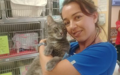 MHS Volunteer Spotlight: Vicki Foeldes