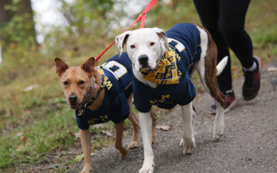 [Photos] Dogs Take Over Kensington Metropark for Doggie Dash 2019