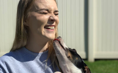 Save Animals Monthly as a Constant Companion