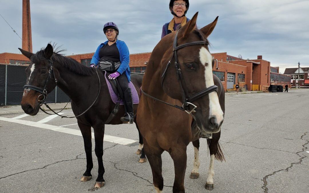 Chip, Fellow Horses Gather for Inaugural Giddy Up Pup