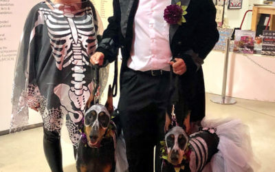 Dogs (and Humans) Celebrate Halloween at Drinking With Dogs in MOCAD