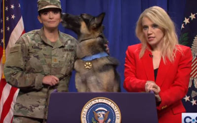 Watch Hero Dog in SNL White House Sketch