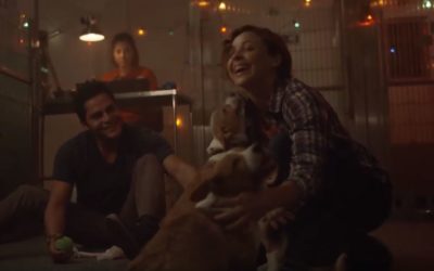 Shelter Animals Receive Holiday Love in Subaru TV Commercial