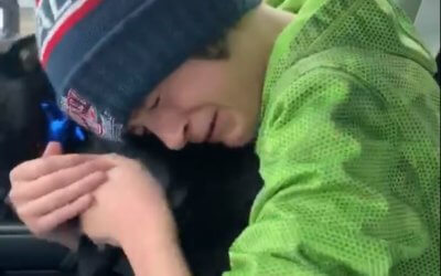 Watch the Tear-Jerking Reunion of a Boy and His Dog