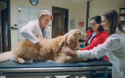 WeatherTech CEO Thanks Vets Who Saved His Dog’s Life With Super Bowl Ad