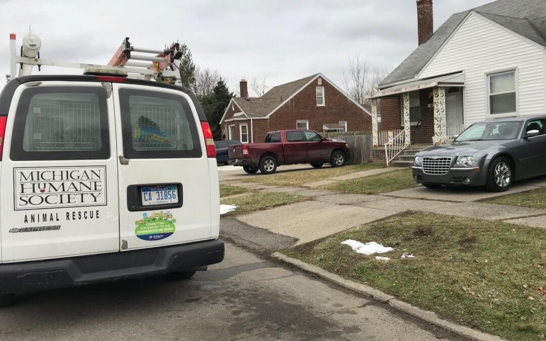 Michigan Humane Society Teams With Feds, Detroit Police to Stop Dog Fighting Ring