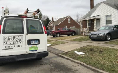 Michigan Humane Society Teams With Feds, Detroit Police to Stop Dog Fighting Ring