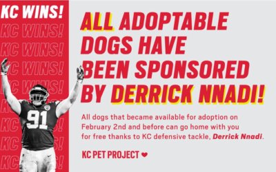 Chiefs’ Derrick Nnadi Will Pay Shelter’s Dog Adoption Fees After Winning Super Bowl LIV