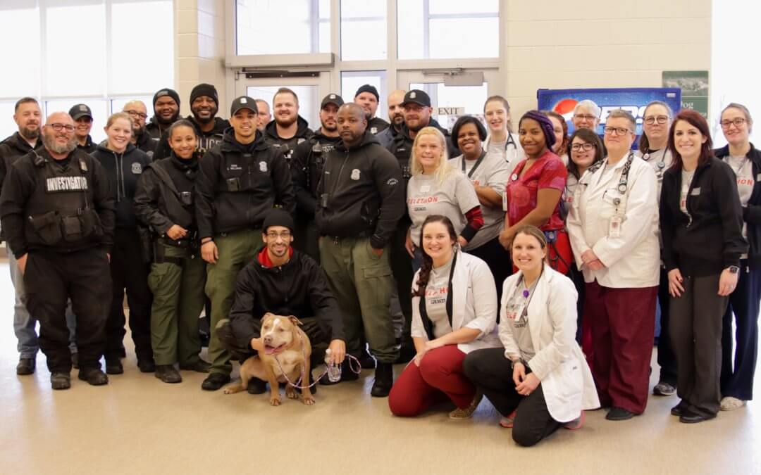 Michigan Humane Society Saves Dog Who Swallowed Bag of Crack Cocaine