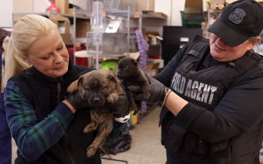 Does Michigan Make the Grade Part 2 – The Importance of Enforcement