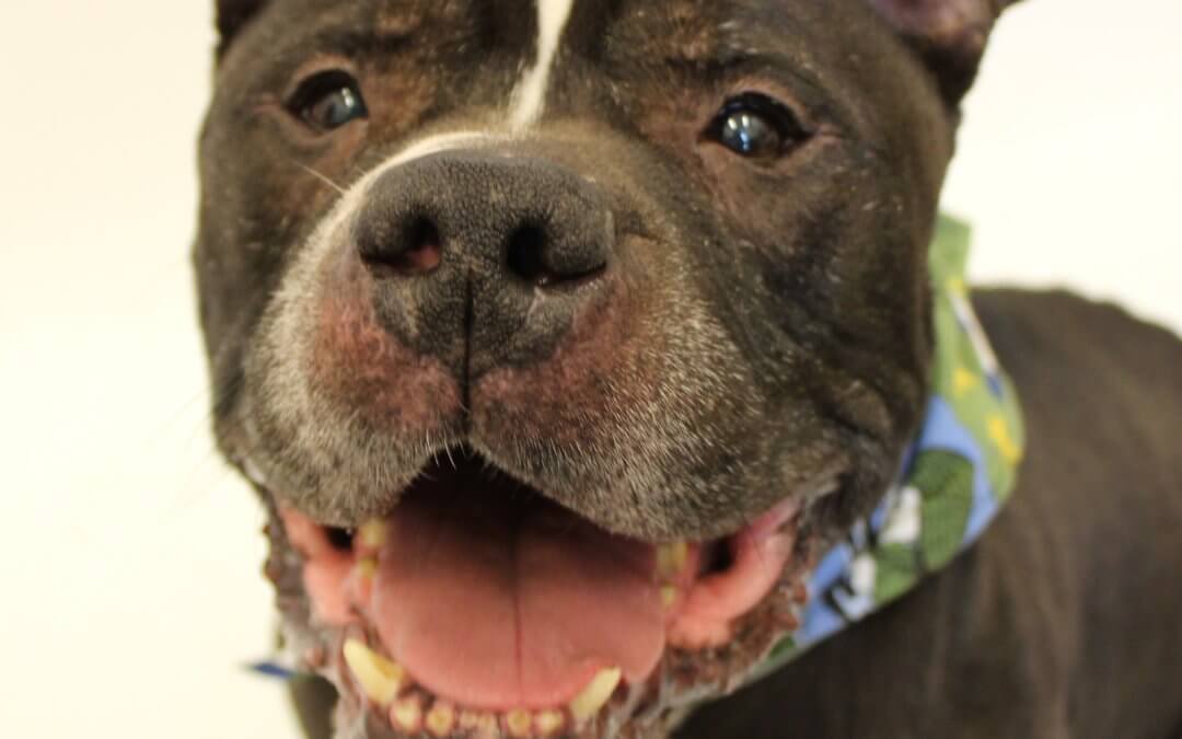 MHS Limiting Non-Urgent Operations During Coronavirus Outbreak