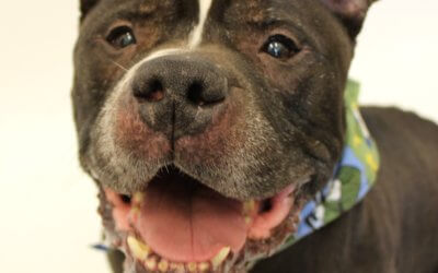 MHS Limiting Non-Urgent Operations During Coronavirus Outbreak