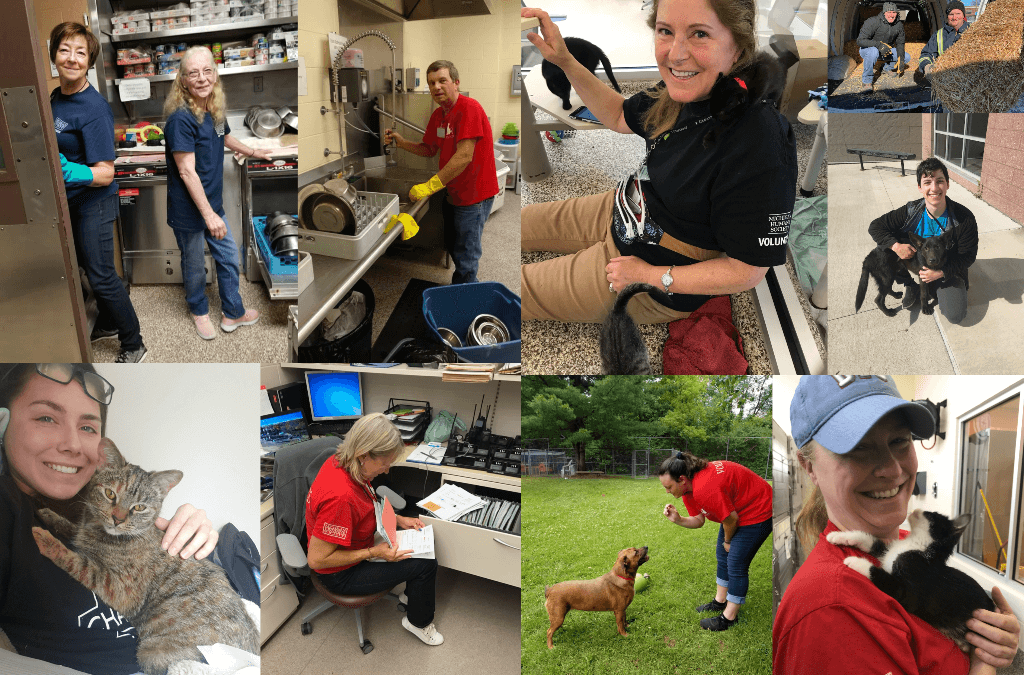 It’s Volunteer Appreciation Week