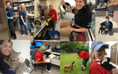 It’s Volunteer Appreciation Week