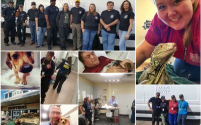 Mobilizing Veterinarians During an Animal Crisis