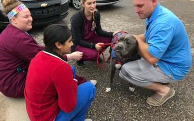 Animal Advocacy Update From Michigan Humane