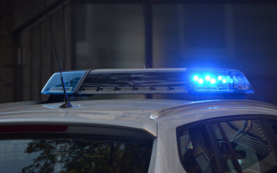 Michigan Humane, Detroit Police Remove Nine Dogs, Dog Fighting Paraphernalia From Home