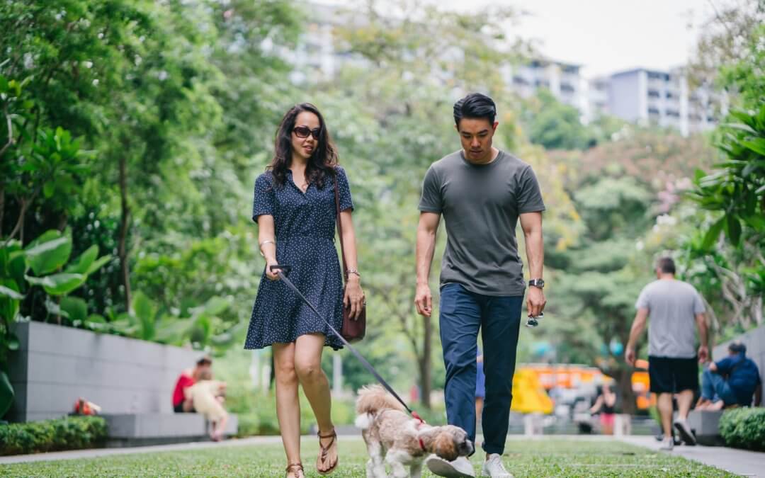 Proposed Law in Germany Says Dog Parents Must Walk Their Pets Twice a Day