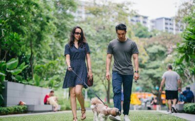 Proposed Law in Germany Says Dog Parents Must Walk Their Pets Twice a Day