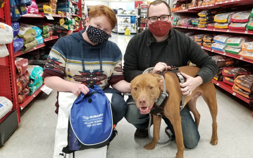 Sellers Subaru and ASPCA Help Find Animals New Families