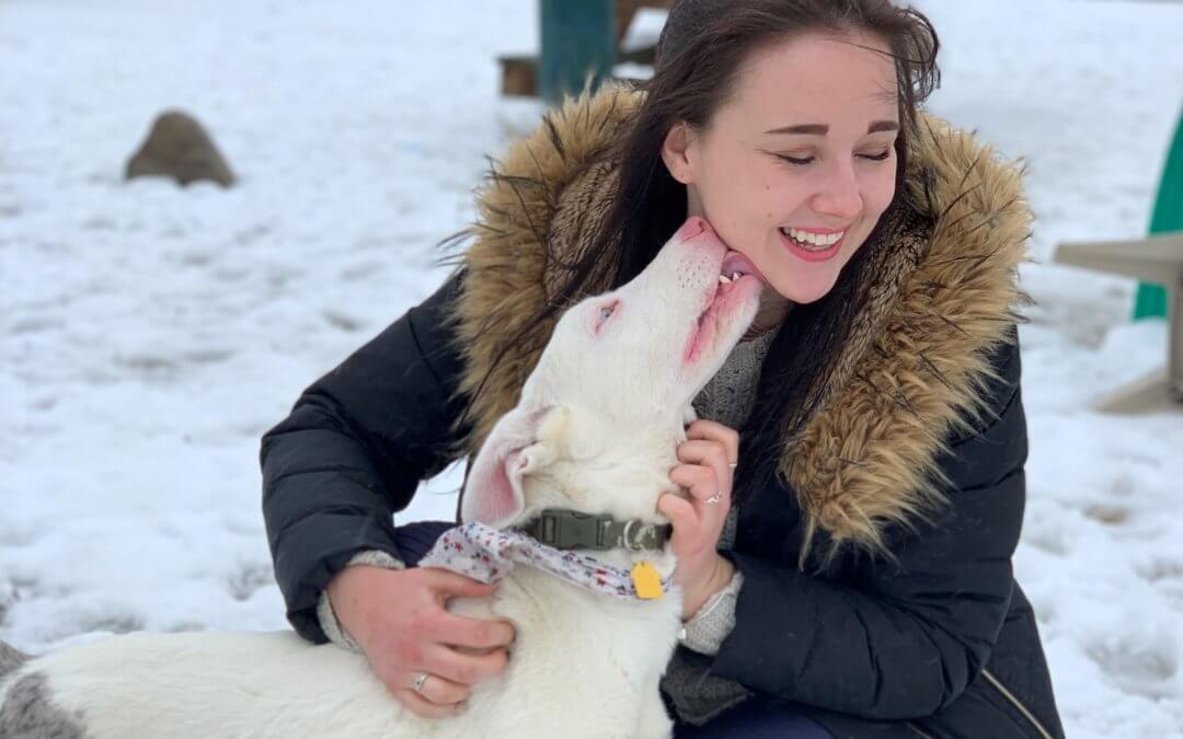 Apply for a free volunteer program assessment